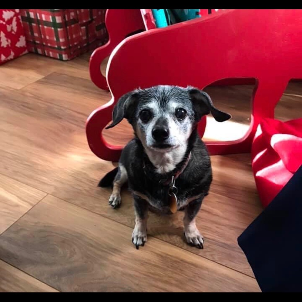 Meet your Posher, Marcie